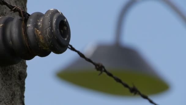 Auschwitz detalle del alambre de púas — Vídeo de stock