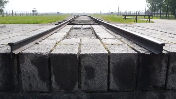 Auschwitz Extraweitschuss — Stockvideo