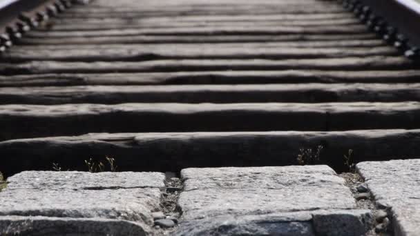 Головні ворота Освенціма від далеку дистанцію — стокове відео