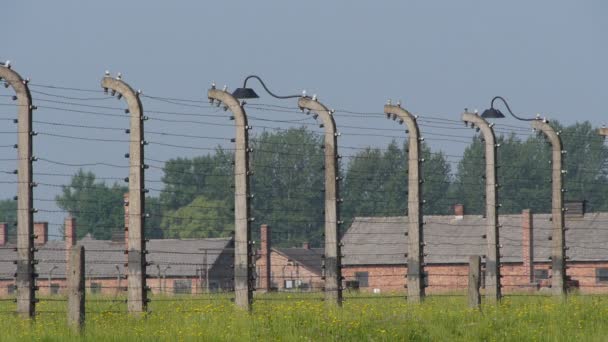 Auschwitz steady shot op het hek — Stockvideo