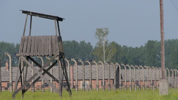 Auschwitz sürekli çekim — Stok video