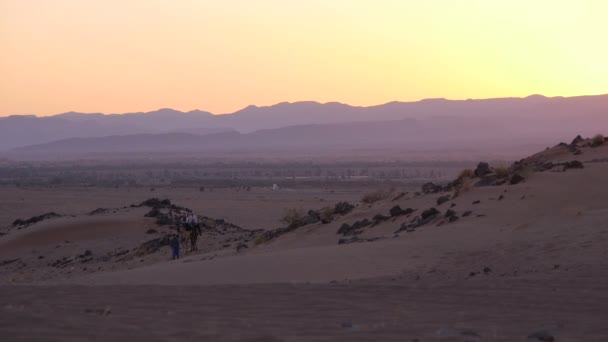 Camel tour in Marokko — Stockvideo