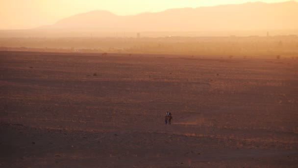 Passeio de camelo com turista no Saara — Vídeo de Stock