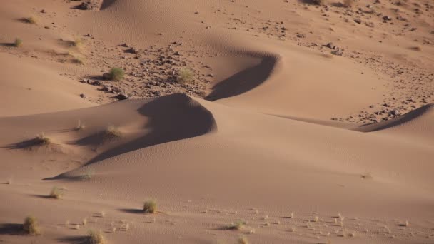Внутри берберского лагеря в Сахаре — стоковое видео