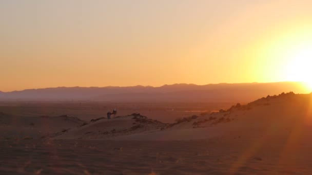 Turist njuta av solnedgången i Sahara — Stockvideo