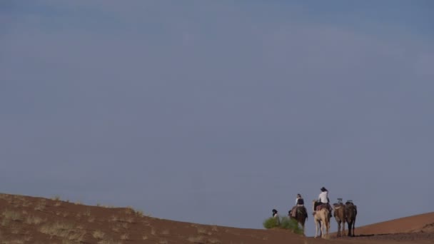 Turista abandona el campamento bereber en el Sahara — Vídeos de Stock