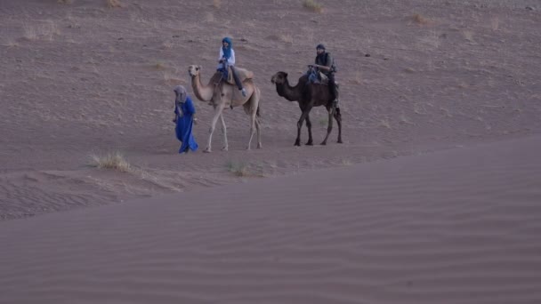 Turister rida kameler i Saharaöknen — Stockvideo