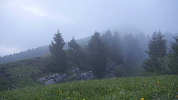 Туманное утро в итальянских Альпах - слайд-камера — стоковое видео