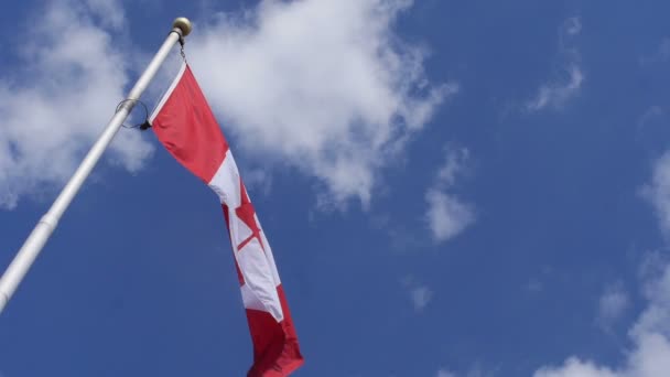 Канадский флаг в замедленной съемке — стоковое видео
