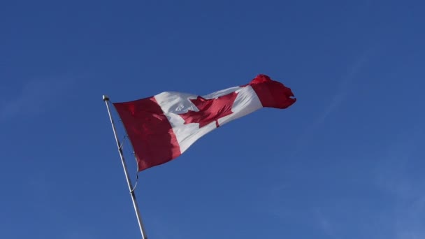 Canadese vlag in slow motion — Stockvideo