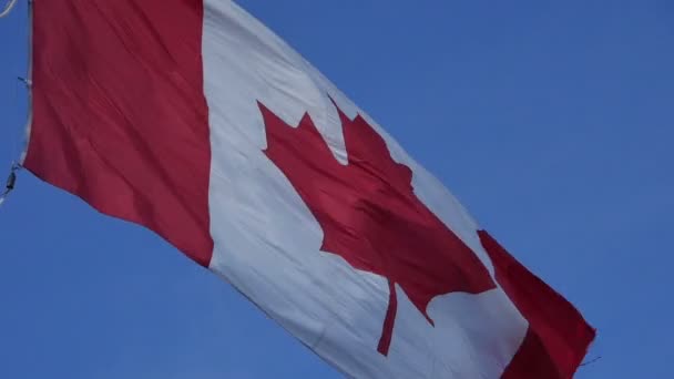 Канадський прапор в уповільненому Русі — стокове відео