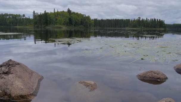 Lago canadiense en verano — Vídeos de Stock