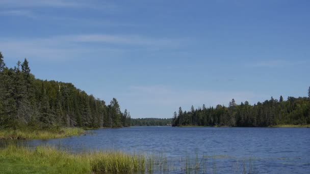 Canadian lake in the afternoon — Stock Video