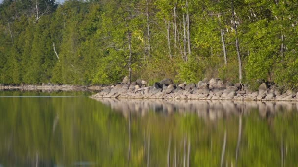Lago canadiense en temporada de verano — Vídeos de Stock