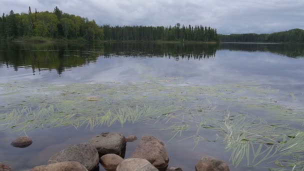 Kanadské léto u jezera — Stock video