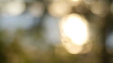 Fişekleri su yansıması bir göl Kanada dan 