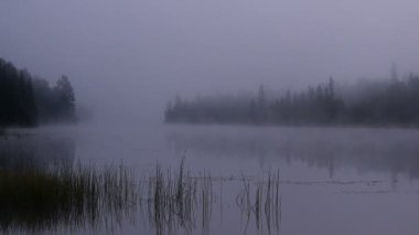Bir göl Kanada sisli sabahı 
