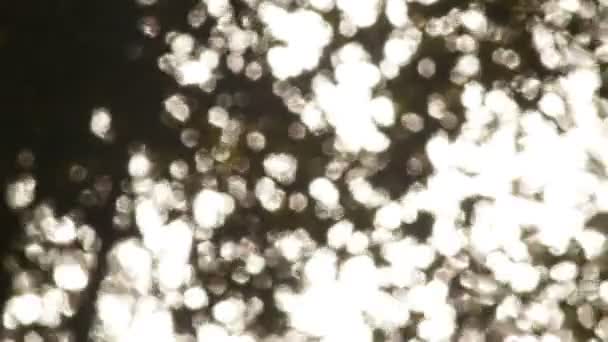 Φωτοβολίδες σε μια λίμνη στον Καναδά - χωρίς εστίαση — Αρχείο Βίντεο
