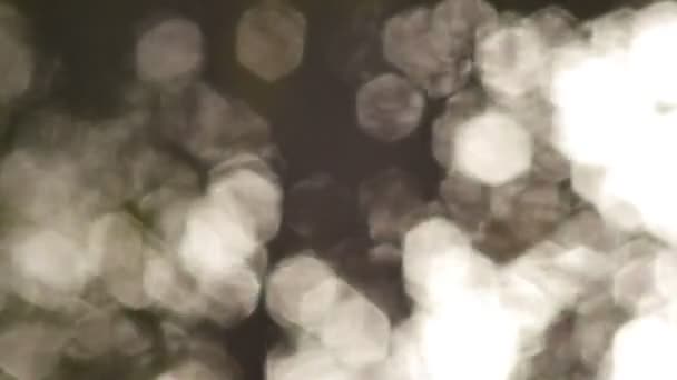 Des torches sur un lac au Canada  