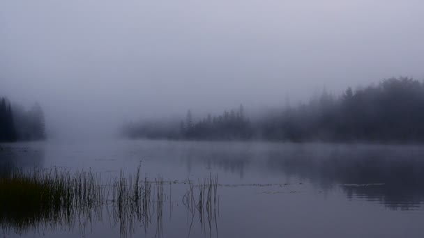 Mistige ochtend op een meer in Canada — Stockvideo