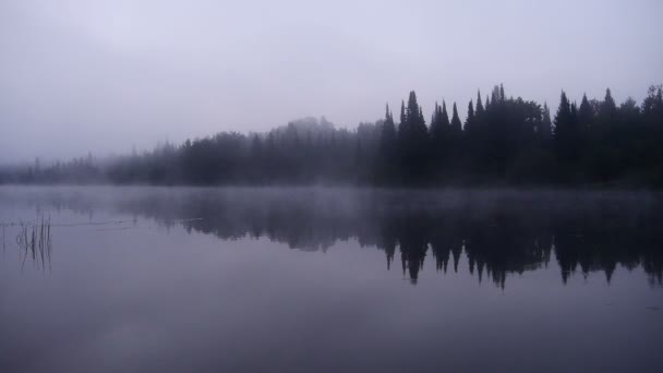 Dimmig morgon på en sjö i Kanada — Stockvideo