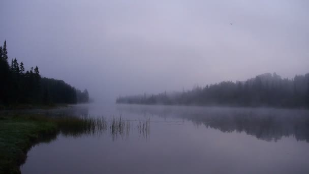 Mistige ochtend op een meer in Canada — Stockvideo
