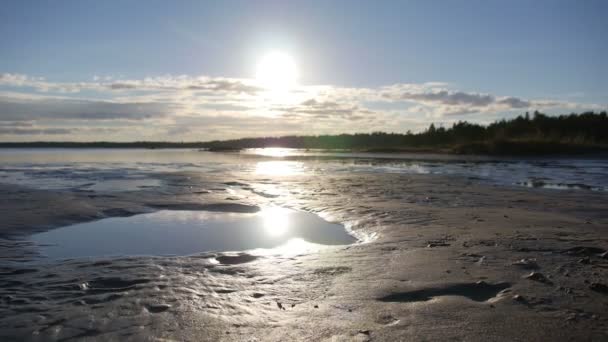 See in Kanada - Kameradutsche horizzontal - Sonnenreflexe in einer Pfütze — Stockvideo