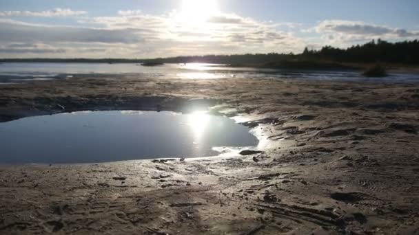 Lake shore - Camera slide ahead near a puddle and back — Stock Video