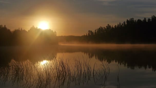 Утренний восход солнца на озере в Канаде - туманное утро — стоковое видео