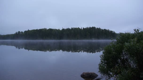 Lugn sjö i Kanada — Stockvideo