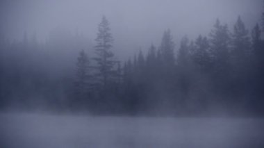 Bir göl Kanada süper sisli sabahı 