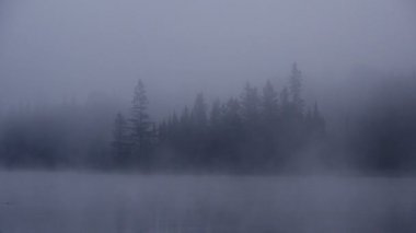 Bir göl Kanada süper sisli sabahı