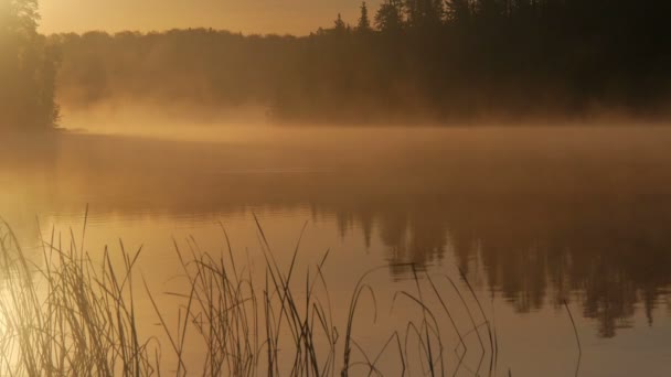 Zonsopgang op een Canadese lake — Stockvideo