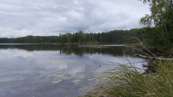 Лето на канадском озере — стоковое видео