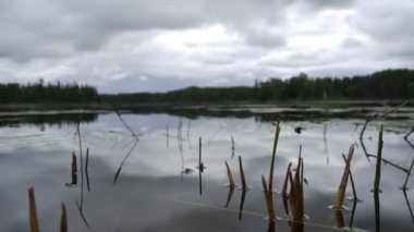  Kanada'da bulutlu gün 