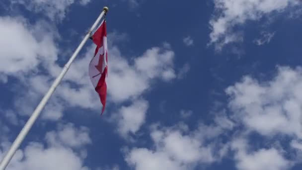 Canadese Vlag Zwaaien Blauwe Hemel Achtergrond Time Lapse — Stockvideo
