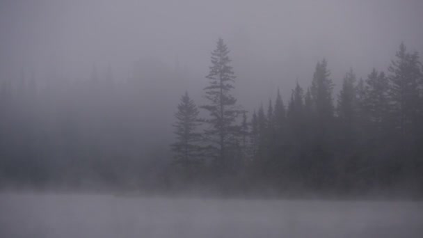 Foggy Morning Het Bevroren Meer Canada Time Lapse — Stockvideo