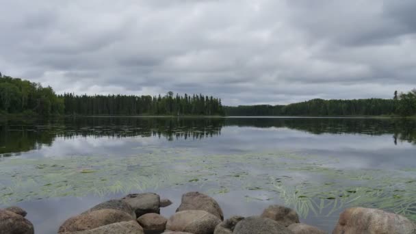 Lake in Canada - stenen op de oever - time-lapse — Stockvideo