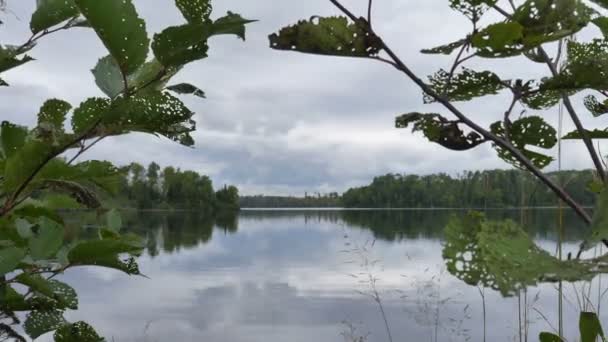 湖在加拿大-植物之间的时间间隔 — 图库视频影像