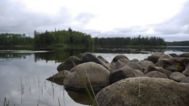 De oever van het meer in Canada - time-lapse in een bewolkte dag. — Stockvideo