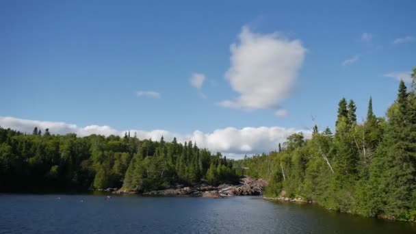 Rivier Canada Time Lapse Middag Brede Mening — Stockvideo