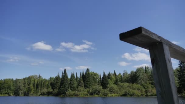 Time lapse a folyó - Kanada — Stock videók