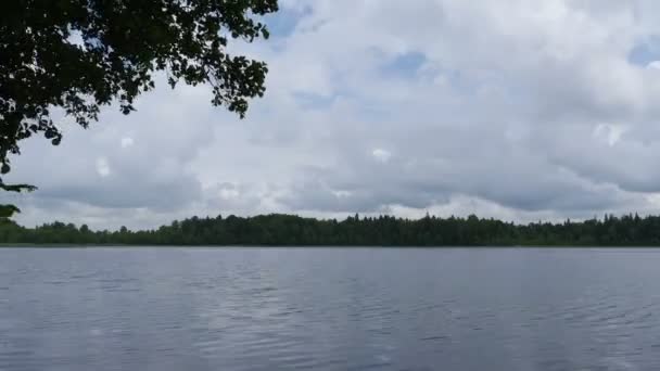 Lake in Litouwen - zomer bewolkte dag time-lapse — Stockvideo