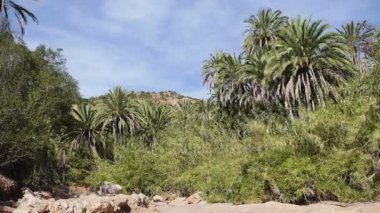 OASIS Morocco zaman atlamalı Paradise Valley