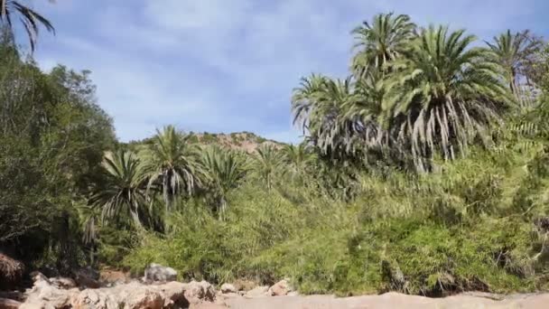 Paradise Valley au Maroc Time lapse in the oasis 