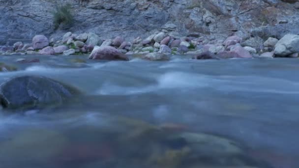 L'acqua scorre in un fiume con pietre Time lapse — Video Stock