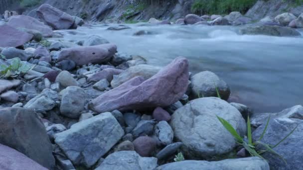 L'acqua scorre in un fiume con pietre Time lapse — Video Stock