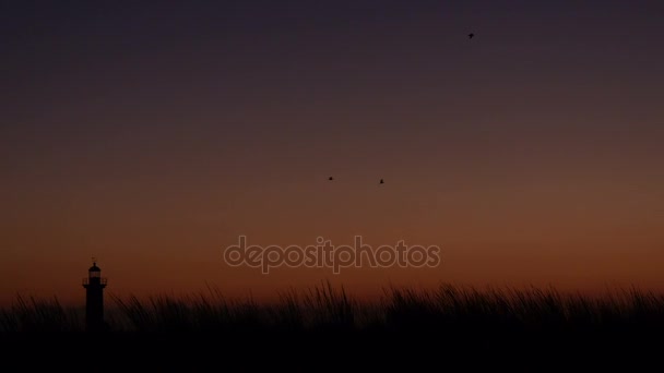 Skyline del faro de Oporto — Vídeos de Stock