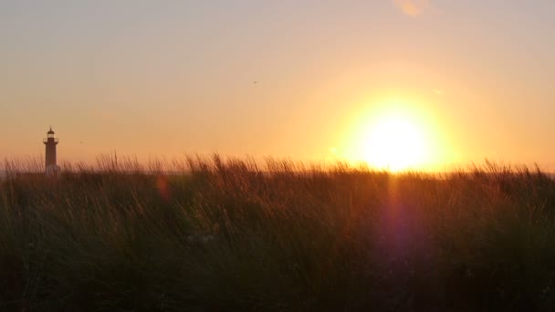 Vue large du phare de Porto au coucher du soleil — Video