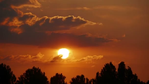 German countryside time lapse at sunset — Stock Video